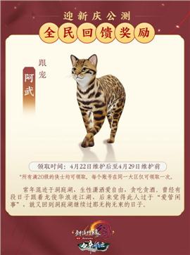 天龙八部私服跑路
